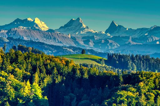 A grassy meadow, with a forested hill in the background, on a sunny day, with illuminated snowy mountain tops in the background at sunset