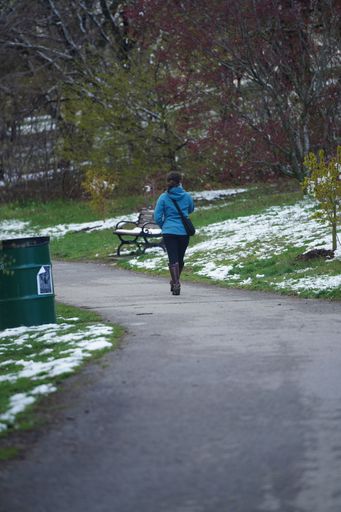 A rear view of a girl walking in the park on winter day
