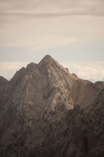 A vertical closeup shot of the top of a mountain range on a foggy day