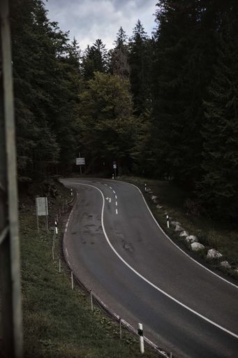 A vertical closeup shot of an empty highway road surrounded by green trees