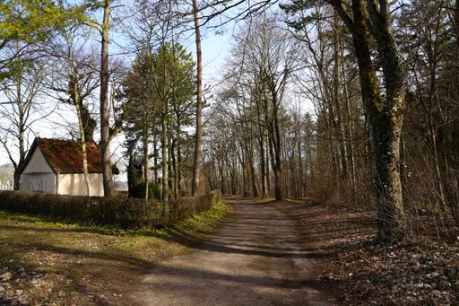 A closeup shot of a little house in the forest