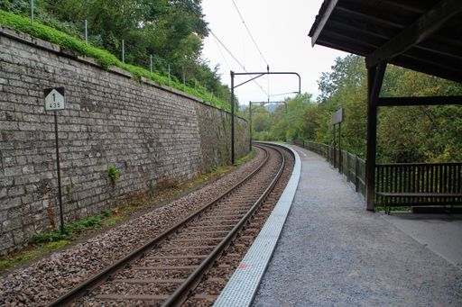 A railroad near the station surrounded by green nature during daylight