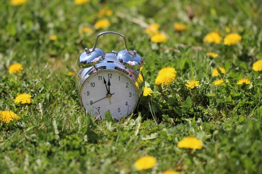 A closeup shot of an alarm in a field with yellow dandelions
