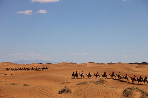 A camel caravan in a desert in Xinjiang, China