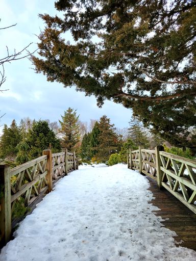 A vertical shot of a walkway in a park covered with snow during winter