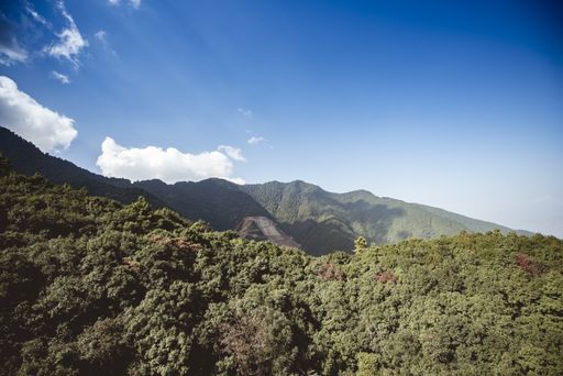A beautiful shot of forested mountains under a blue sky in Nepal