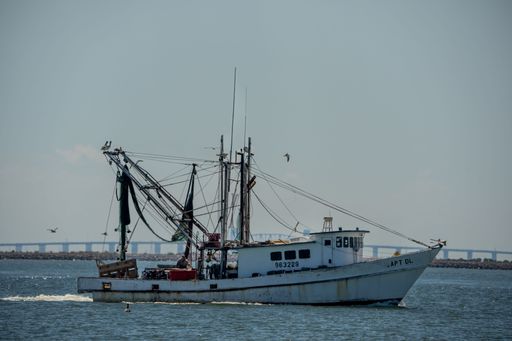A closeup shot of a white ship sailing in the sea in Texas, USA