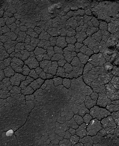 A vertical grayscale shot of a cracked dry floor