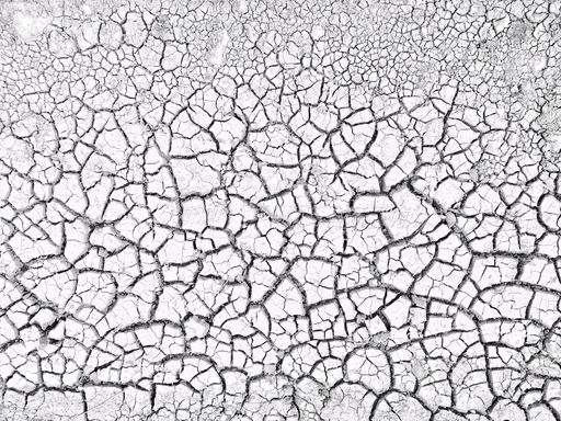 A closeup grayscale shot of a cracked dry floor
