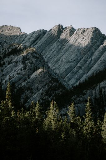 A vertical shot of Canadian rocky mountains and dense trees under the clear sky
