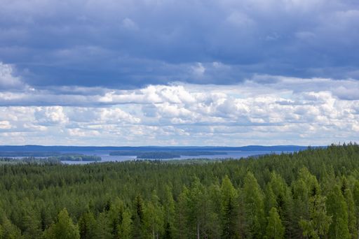 A bird's eye view of green pine forests against a lake on a cloudy day