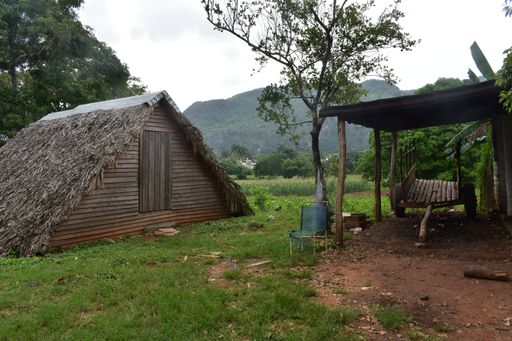 A wooden hut and an old cart against the trees background in Vinales, Cuba