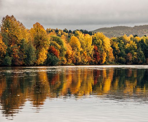 A scenic view of a colorful autumn forest reflected on the lake in a gloomy day