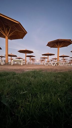 A vertical shot of wooden umbrellas for sun protection on a beach in a resort