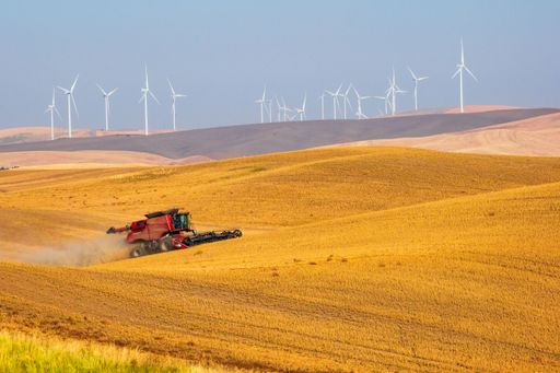 A beautiful view of a harvester working on a field against wind turbines background