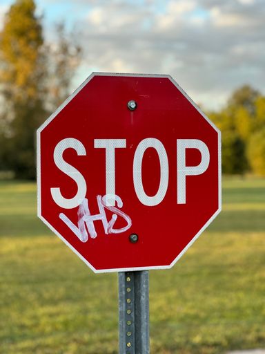 A vertical closeup of a "stop" sign on the street against green trees
