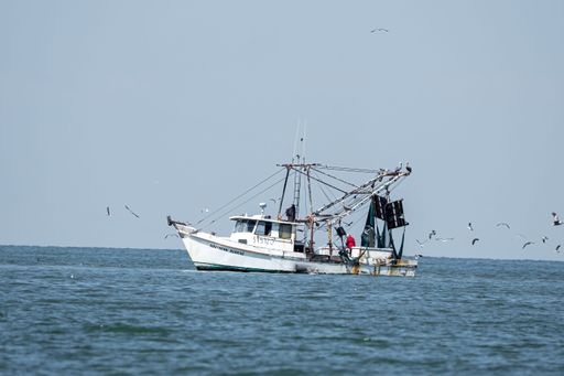 A closeup shot of a white boat sailing in the sea in Texas, USA