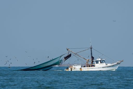 A closeup shot of a white boat sailing in the sea in Texas, USA