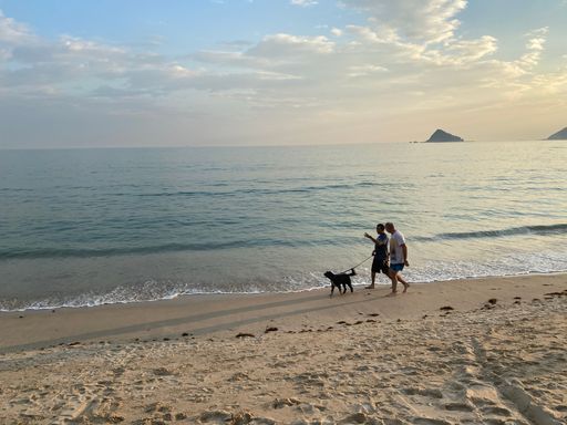The Shenzhen seaside with people walking the dog in the foreground, Shenzhen, China