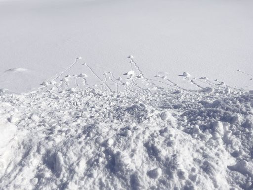 A high-angle view of a snow-covered surface under the sunlight creates a white background