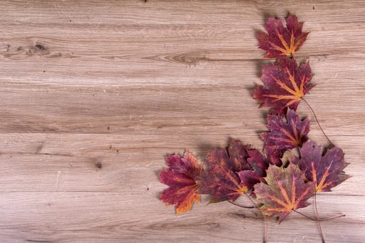 An overhead shot of leaves on a wooden table with space for your text