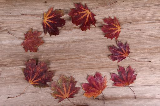 A top view of beautiful autumn leaves forming a circle on a wooden surface