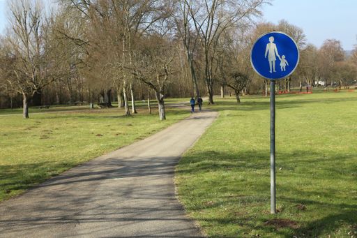 A closeup shot of a pathway in the middle of the park