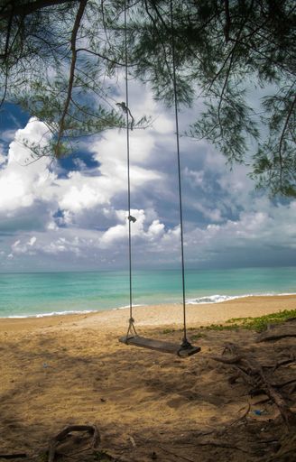 A beautiful shot of a swing hanging from a tree on the beach under the cloudy sky