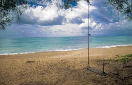 A beautiful shot of a swing hanging from a tree on the beach under the cloudy sky