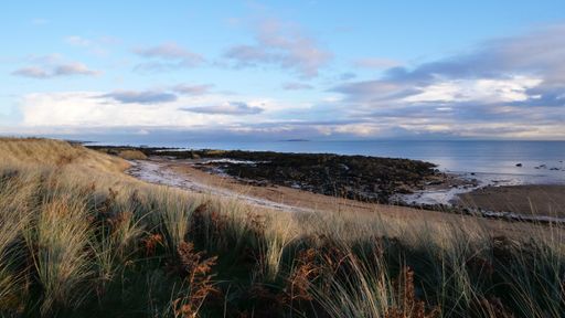 A beautiful shot of a pathway near the sea surrounded by grass under the cloudy sky