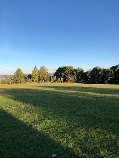 A vertical shot of a beautiful green field with the shadow of the trees on a sunny day