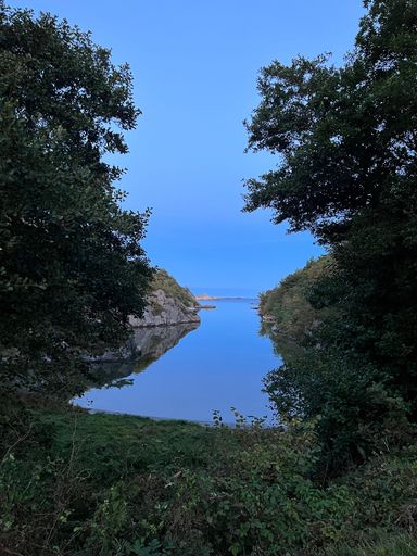 A vertical shot of a lake in a forest during the day