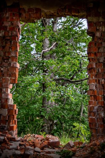 A vertical shot of the red brick wall wih a square hole against the trees