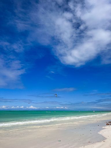 A vertical shot of an idyllic sandy beach under a cloudy sky
