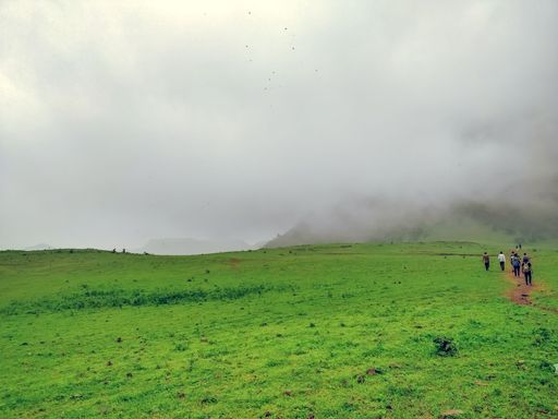 A drone shot of people walking on a green field on the foot of a mountain covered with fog