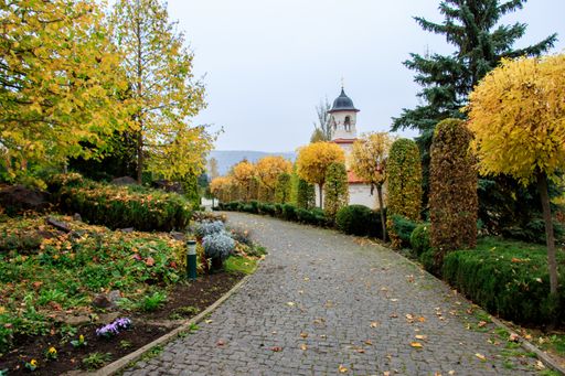 A beautiful shot of a road leading to the famous Curchi Monastery in Moldova