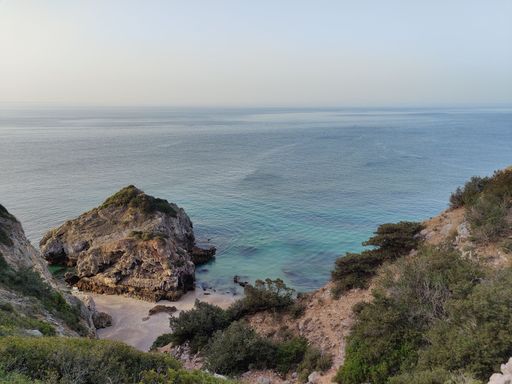 A beach shore with bushes, a big rock and the ocean with a clear sky in the background.
