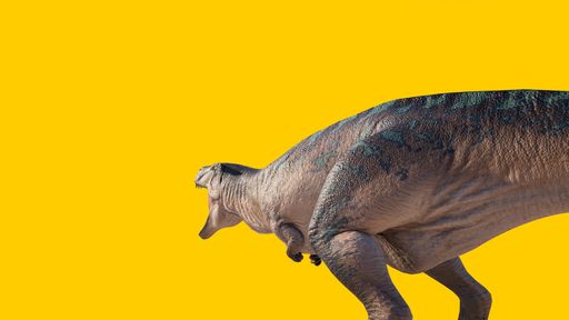 A roaring Acrocanthosaurus dinosaur figure isolated on a yellow background