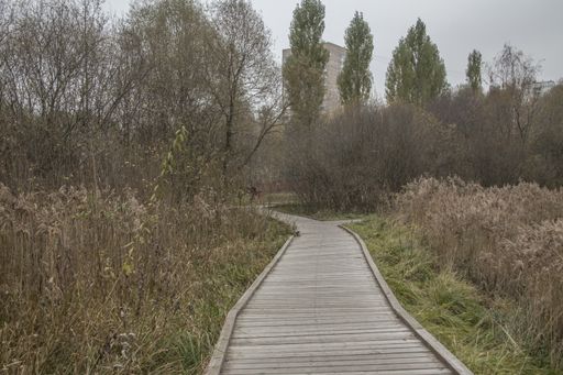 A beautiful shot of a wooden bridge near a tree forest in a Russian park