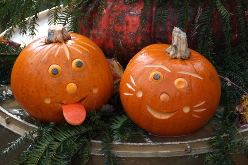 A closeup high angle shot of cute carved pumpkins for Halloween - concept of Halloween