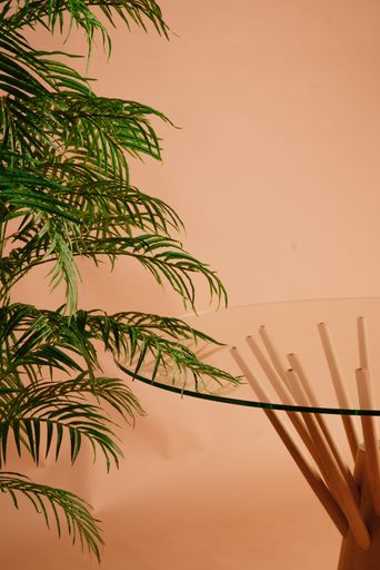 A vertical aesthetic shot of a home plant next to a glass table against a nude wall