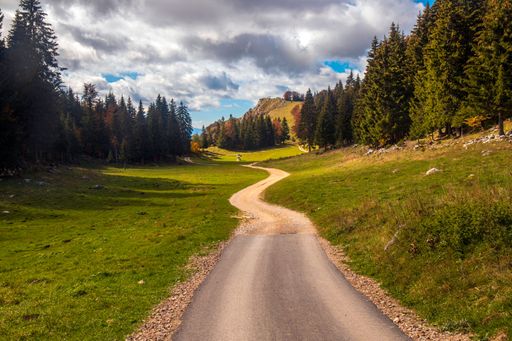 A dirt road going through a green field against the cloudy sky