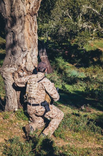 A vertical shot of military actions in the forest