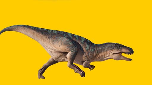 A dinosaur king Acrocanthosaurus isolated on yellow background