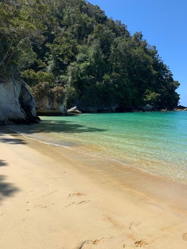 A vertical of sandy beach covered with greenery against a blue sea in Abel Tasman National Park, New Zealand