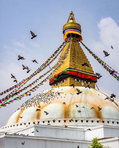 A vertical shot of the birds flying over the Boudhanath Stupa and temple in Kathmandu Nepal