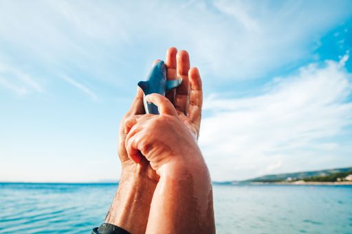 A closeup shot of hands holding a shark figurine against a seascape and cloudy sky