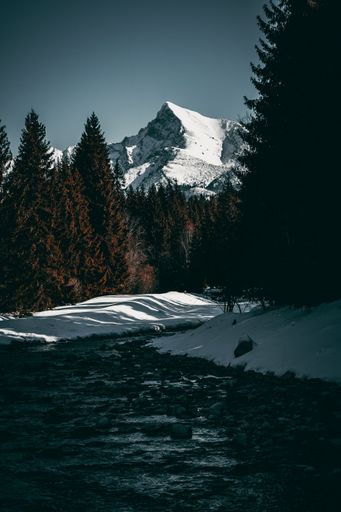 A vertical shot of a path through trees leading to Krivan mountain in Slovakia in winter