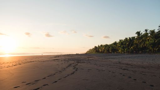 An aerial view of beach surrounded by dense palms during sunset