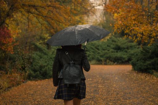 A beautiful shot of a female with an umbrella walking in the park on a rainy autumn day